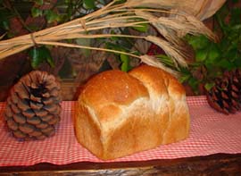 �T�������̂��������p���ł�